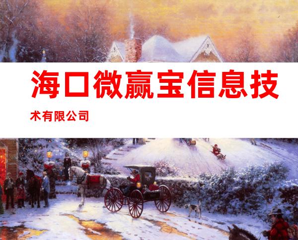 海口微赢宝信息技术有限公司